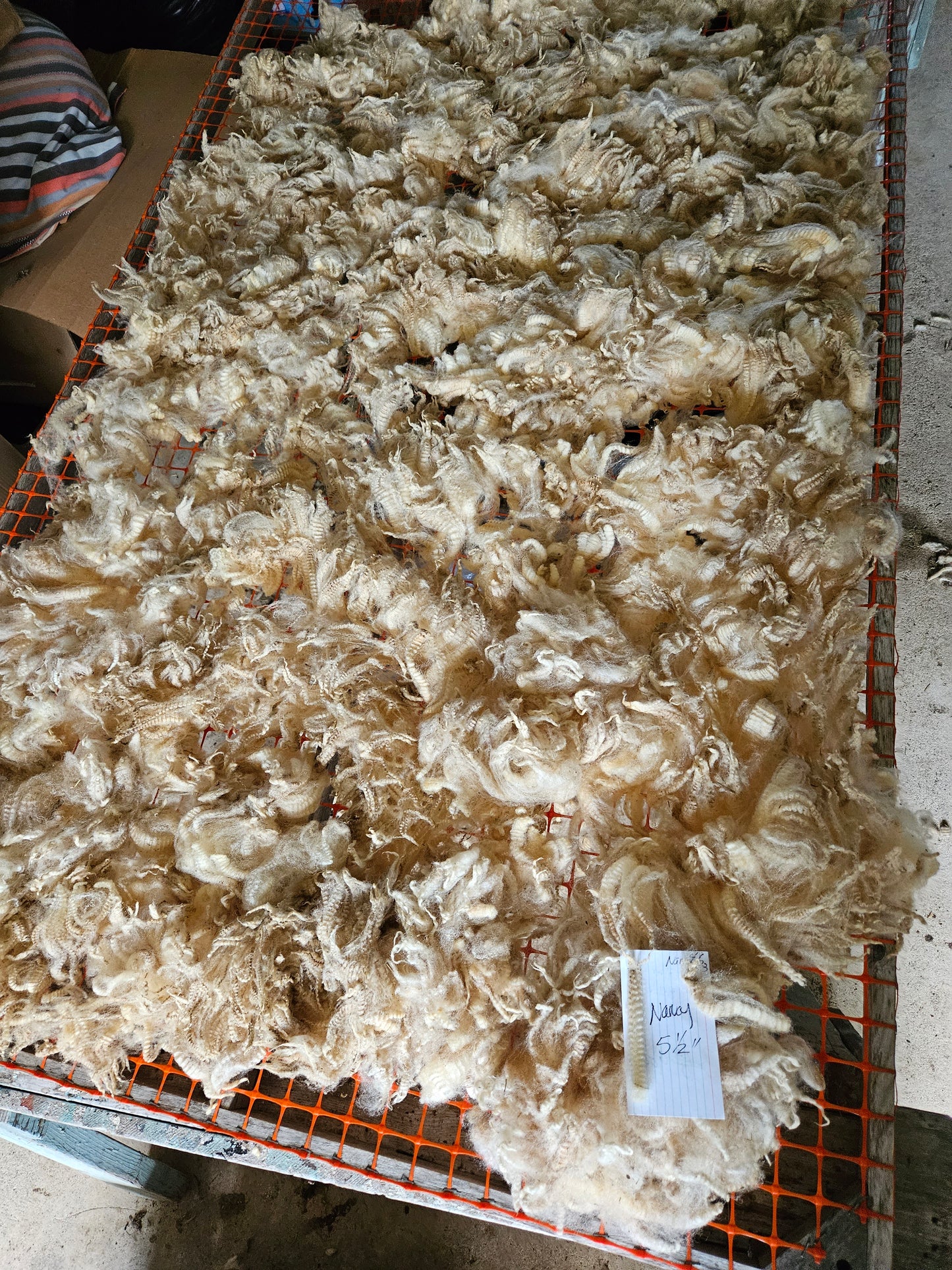Raw Romney White Yearling Fleece S&J "Nancy"