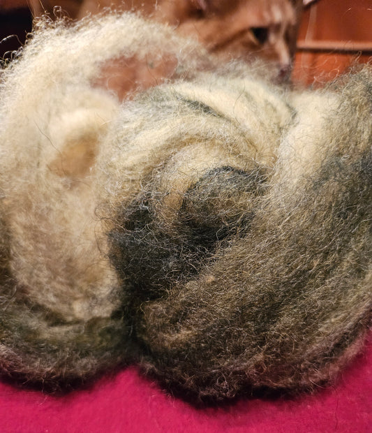 Roving Blend RAYG 18 - 70% Romney 30% Angora Marigold Green Swirl -2.6 ounces
