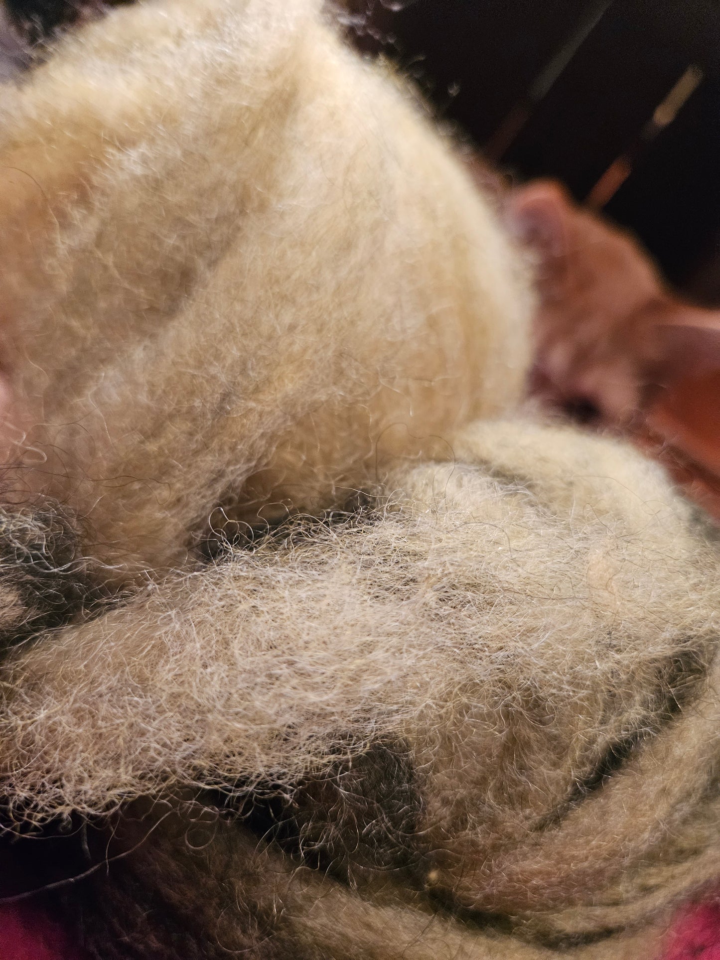 Roving Blend RAYG 18 - 70% Romney 30% Angora Marigold Green Swirl -2.6 ounces