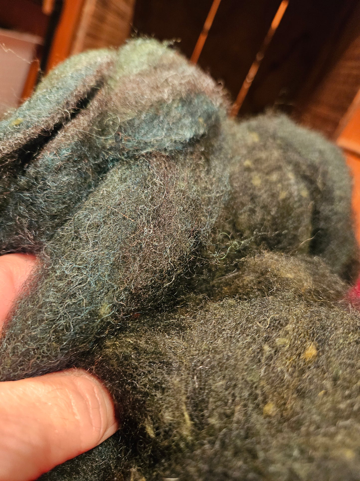 Farm Raised Romney Sheep Wool and Angora blended 70/30 Forest Green Very Soft Handspinner Ready