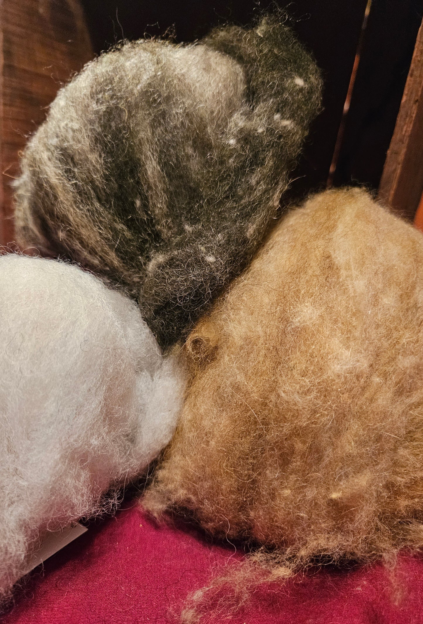 Farm Raised Romney Sheep Wool and Angora blended 70/30 3 Colors Forest Green Swirl -Marigold- White w/Hint greenVery Soft Handspinner Ready
