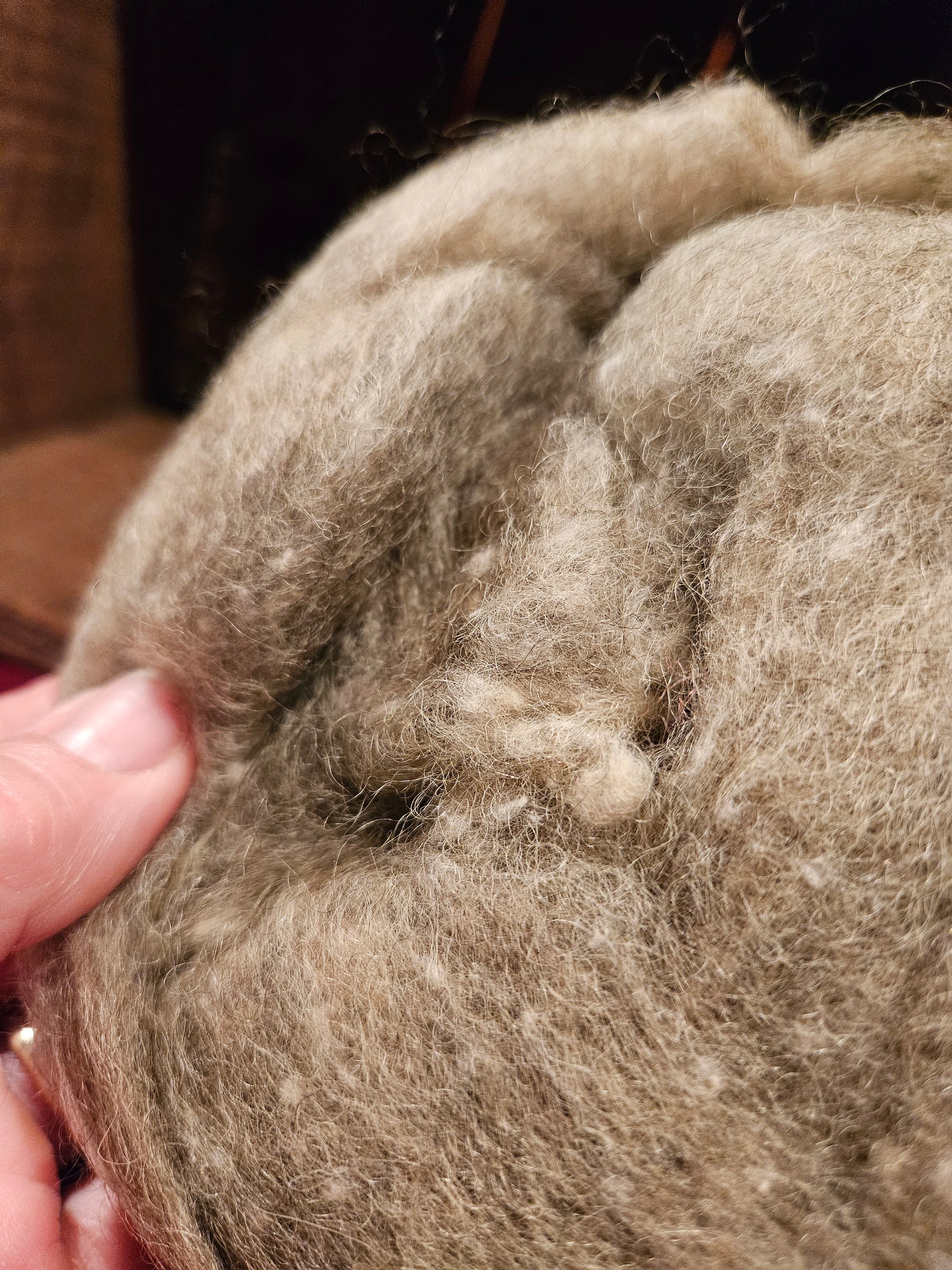 Farm Raised Romney Sheep Wool and Angora blended 70/30 Sea Foam Green Very Soft Handspinner Ready