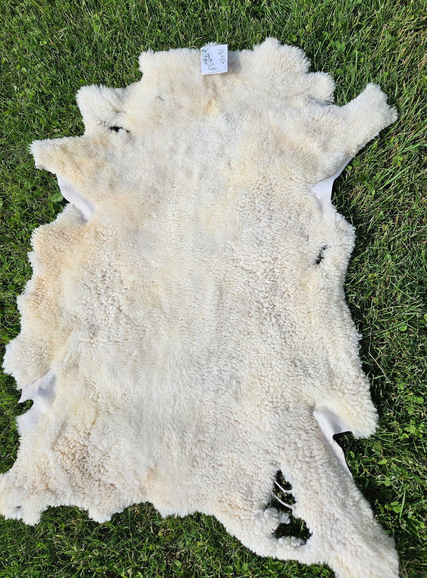 Sheepskin ESWSA-250 White Romney 42"x 31"