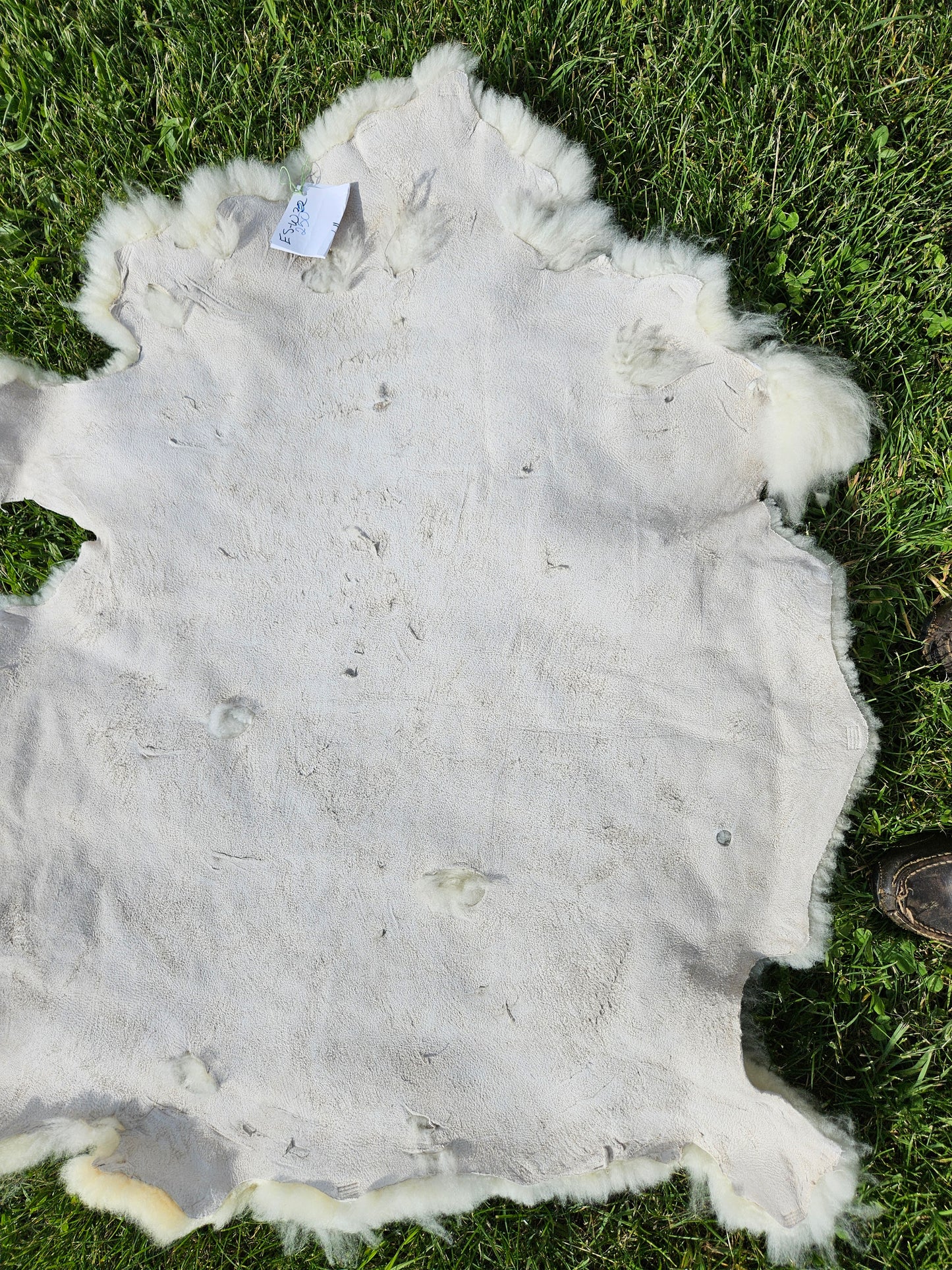 Sheepskin ESWC-250 WHite Romney 41 x 27 Inch
