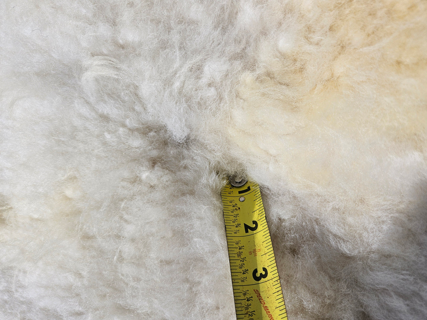 Sheepskin ESWC-250 WHite Romney 41 x 27 Inch