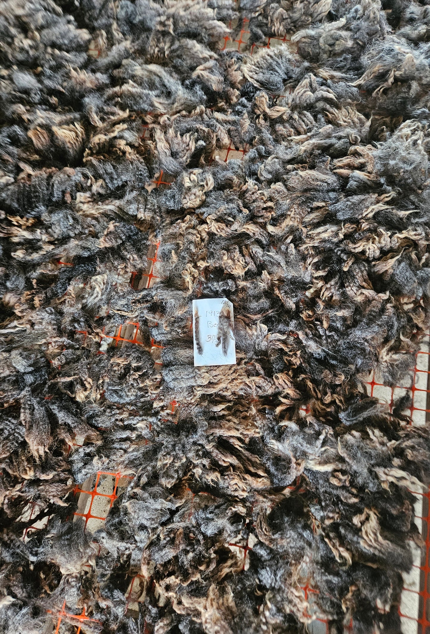 Raw Fleece Silver/Gray Romney 3LThe Clown