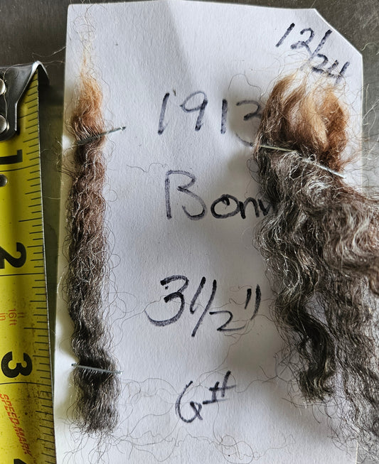 Raw Fleece Silver/Gray Romney 3LThe Clown