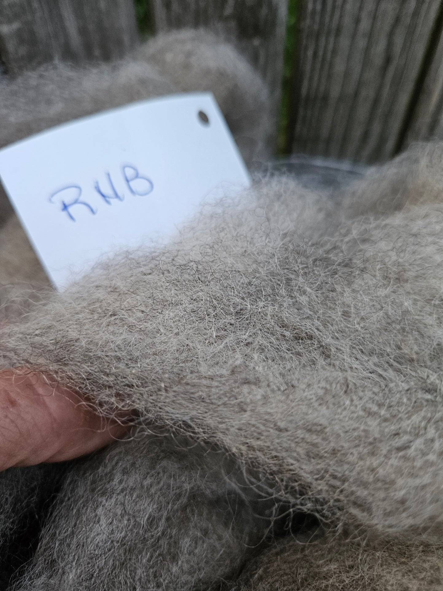 Roving Natural Silver RHB-4 100% Romney - 1.9oz
