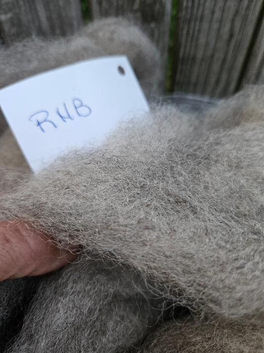 Roving Natural Silver RHB-17 100% Romney - 5.3 oz