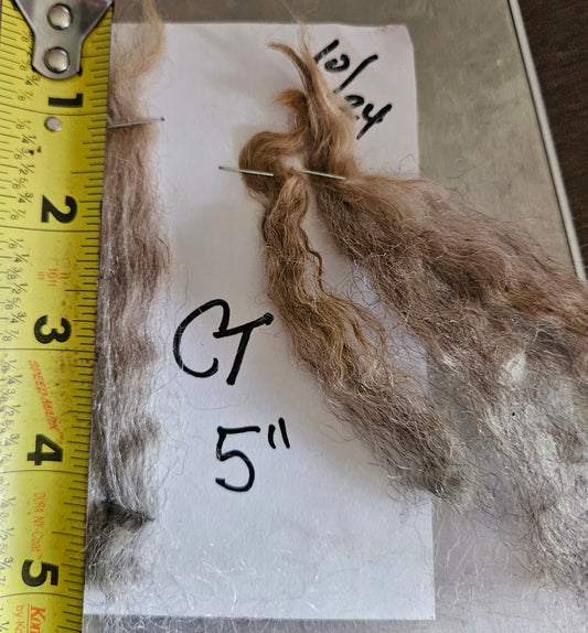 Raw Romney Fleece Silver Ewe- 3LS "2451"