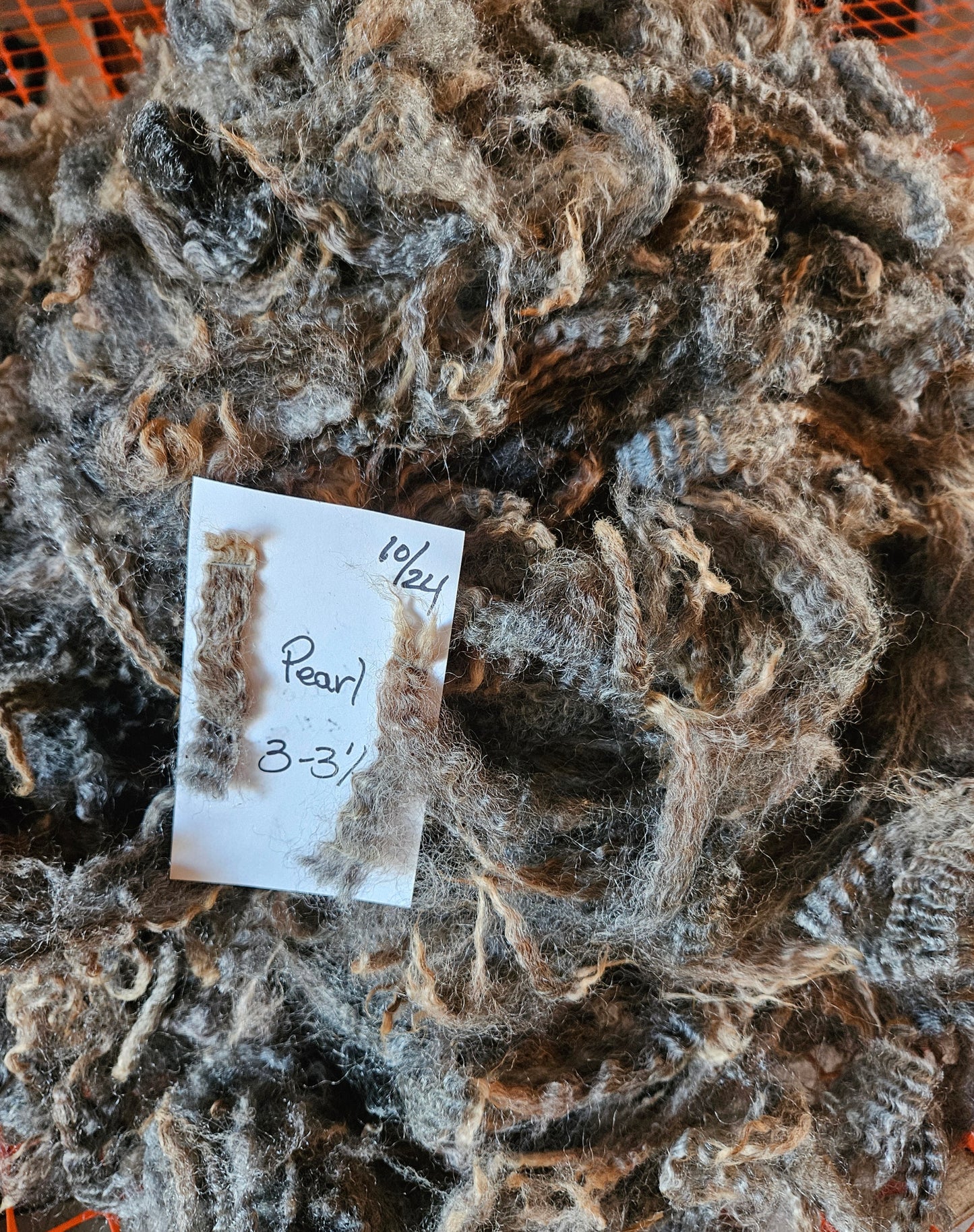 Raw Fleece Silver Romney Lamb 3LPearl