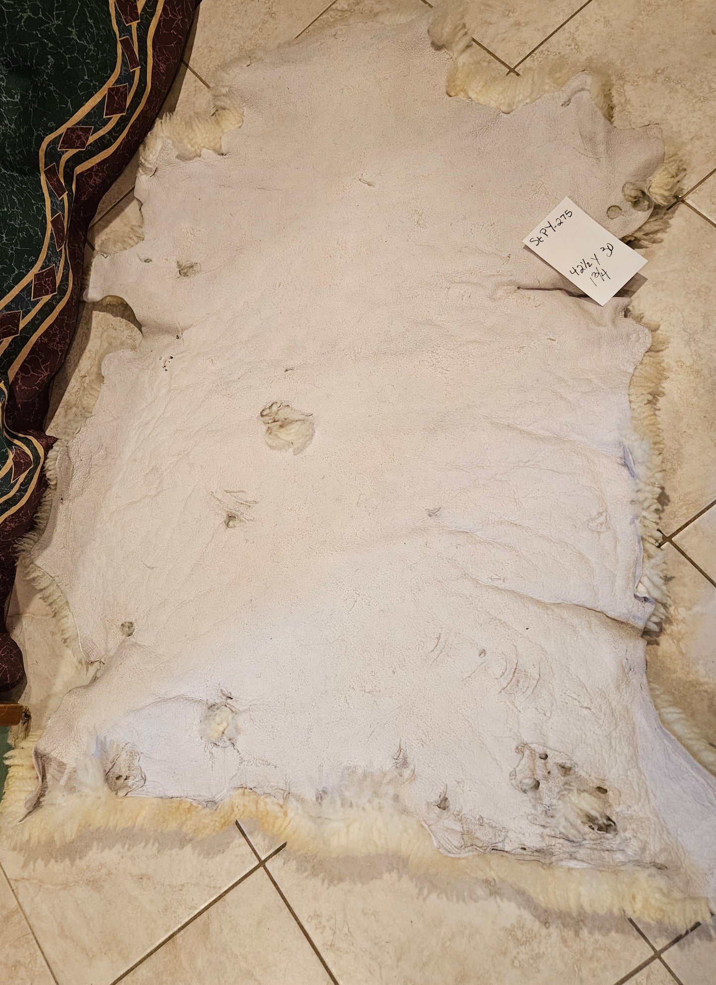 Sheepskin White Romney STpY-275 42.5 x 30