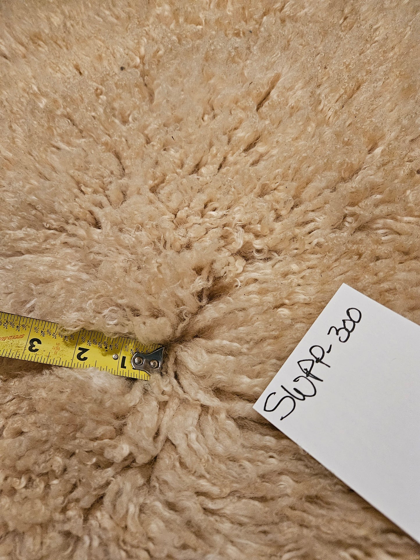 Sheepskin Champaign Romney SWPP-300 -37" x 24"