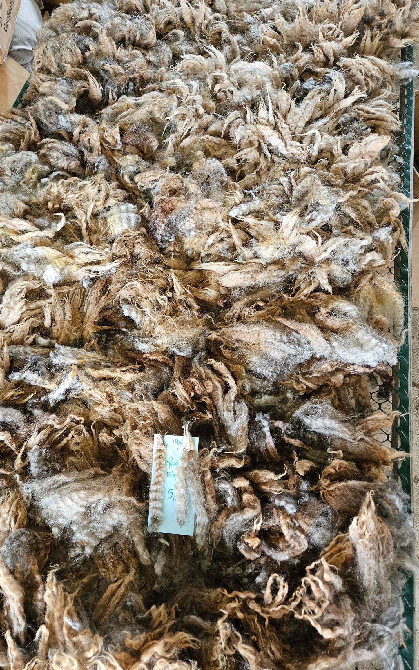 Raw Fleece Silver Romney "Pebbles"