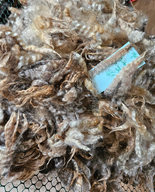 Raw Fleece Silver Romney "Pebbles"