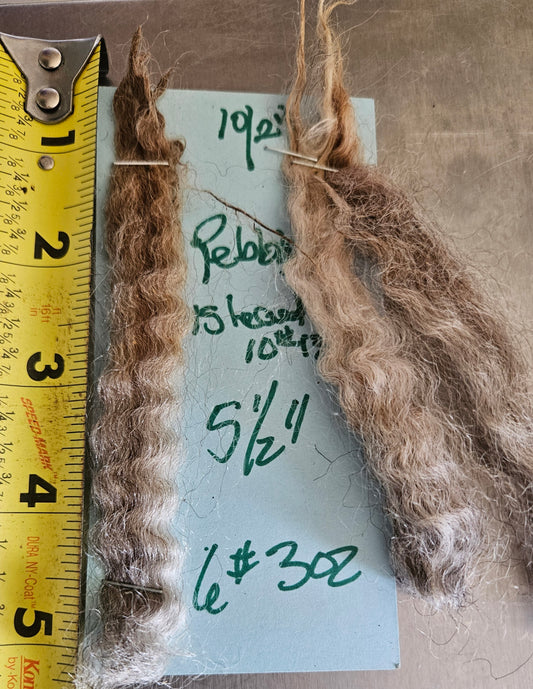 Raw Fleece Silver Romney "Pebbles"