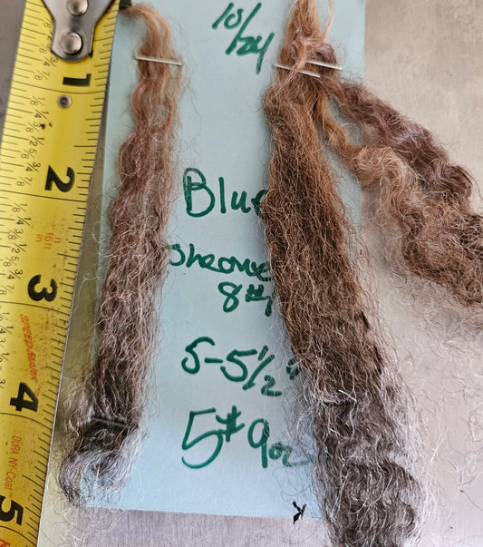 Raw Fleece Silver Gray Romney 3LBlue