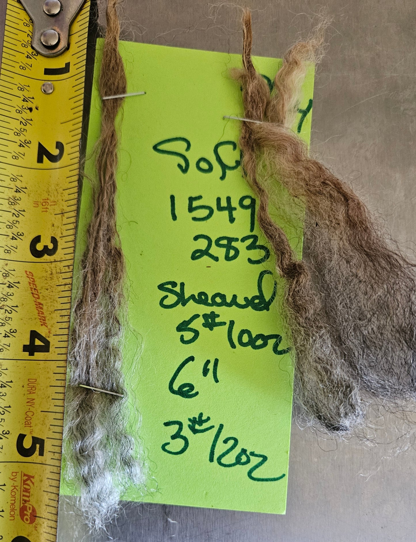 Raw Fleece Romney Silver Ewe 3L1549