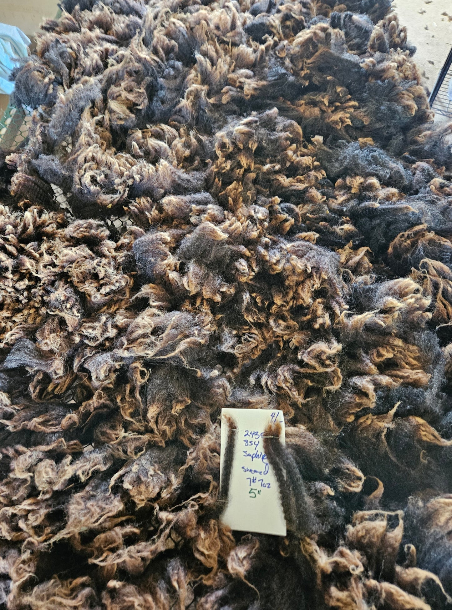 Raw Fleece Romney Black Ewe Lamb 3LSaphire