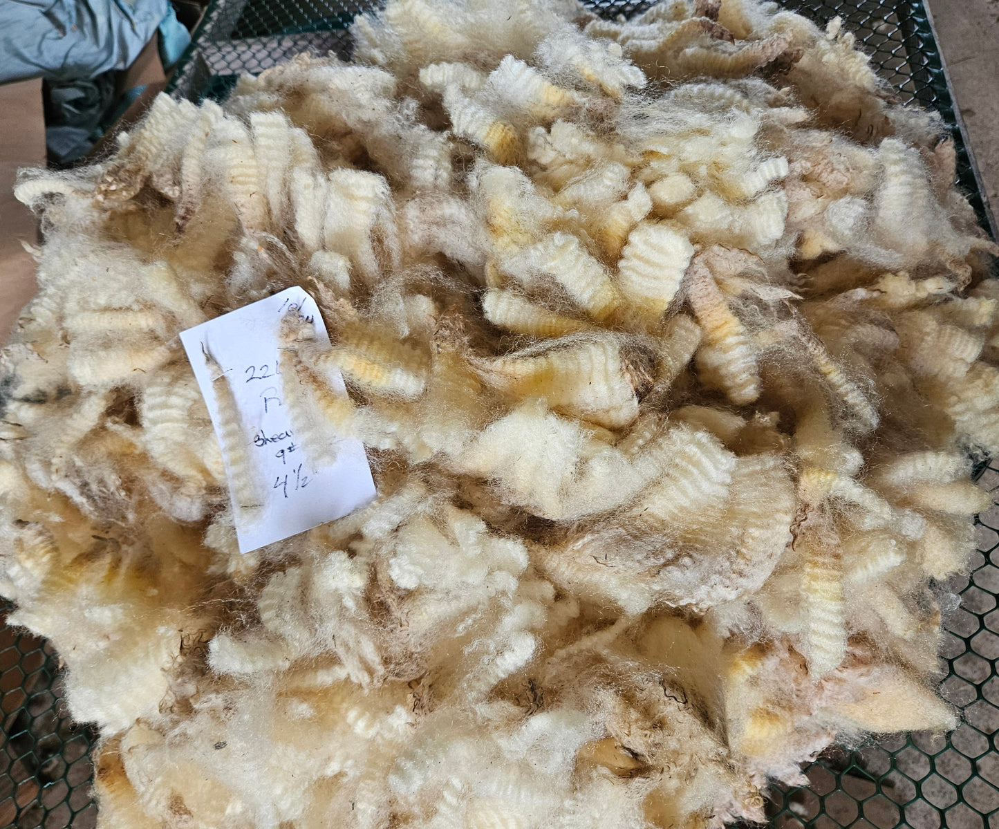Raw Romney White Fleece 3L "Rose"