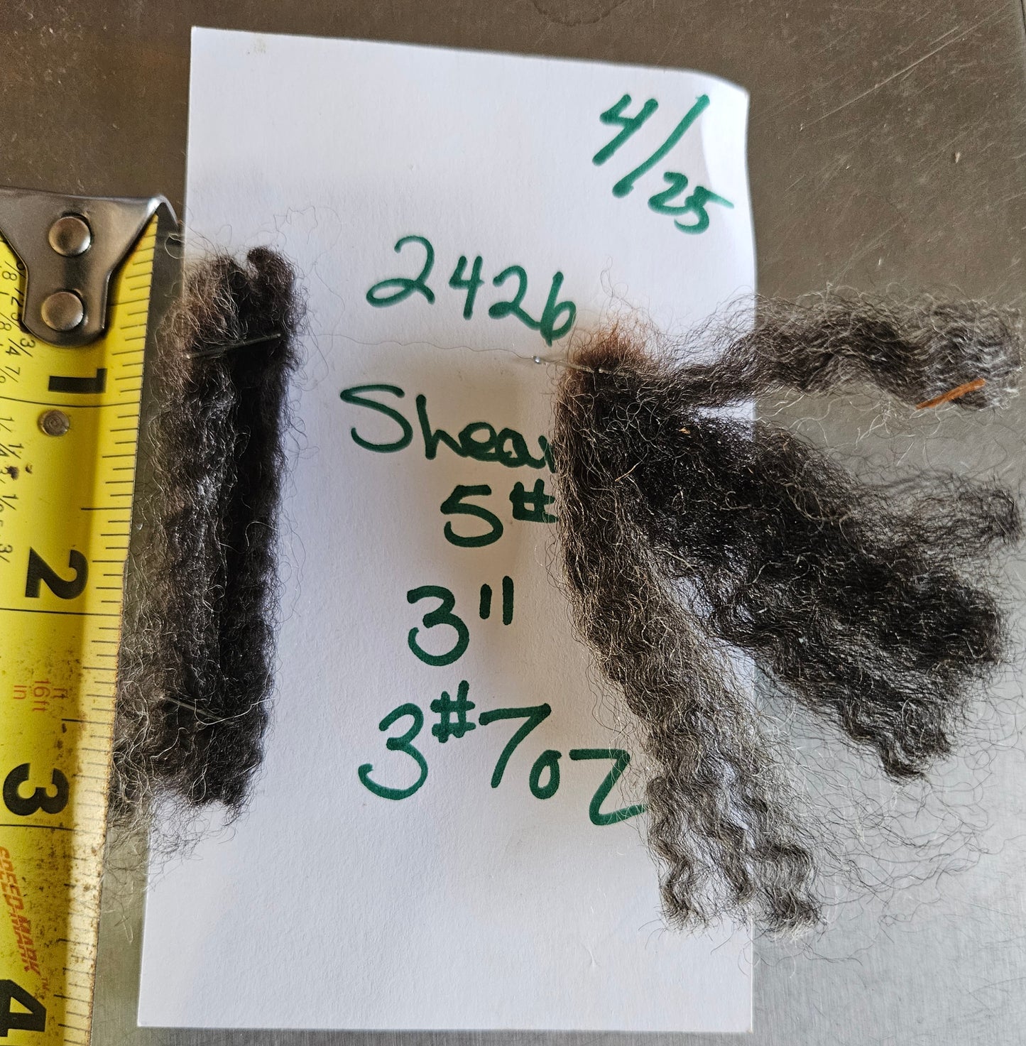 Raw Fleece Romney Black Lamb 3L2426