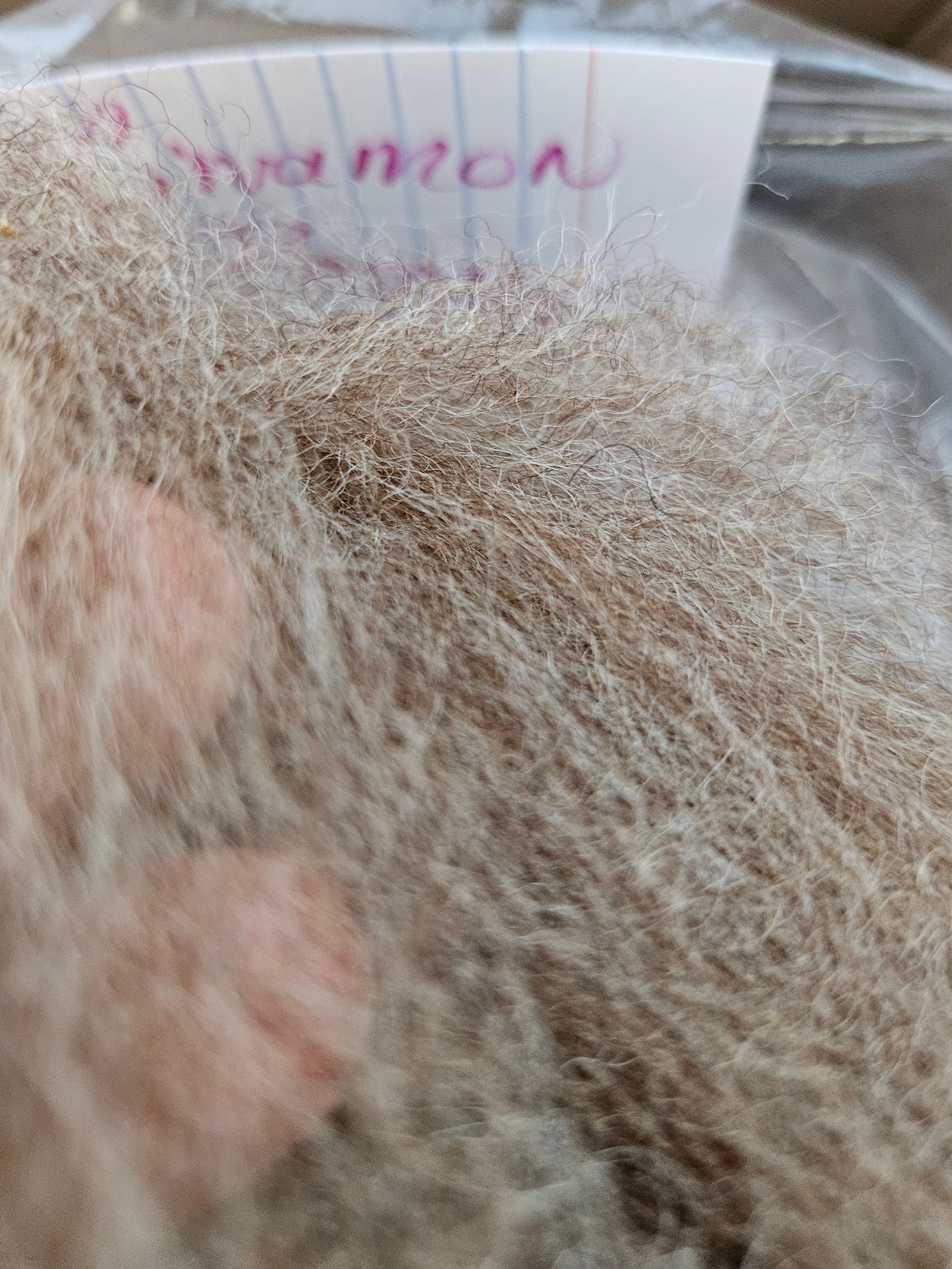 ARoving Natural "Cinnamon" 100% Romney 8 ounce