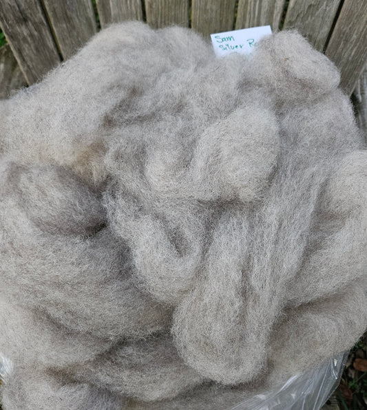 Roving Natural Silver RSam 100% Romney 2ounces