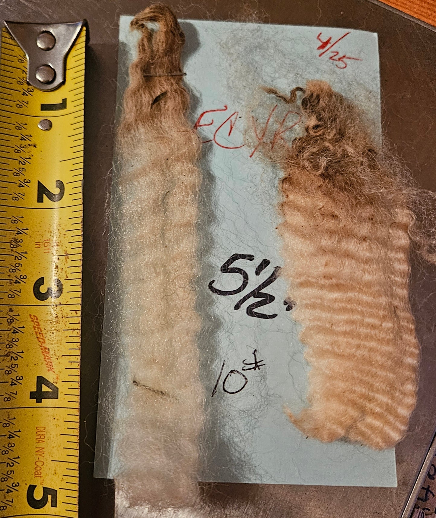 Raw Romney White Fleece Champion ECChamp