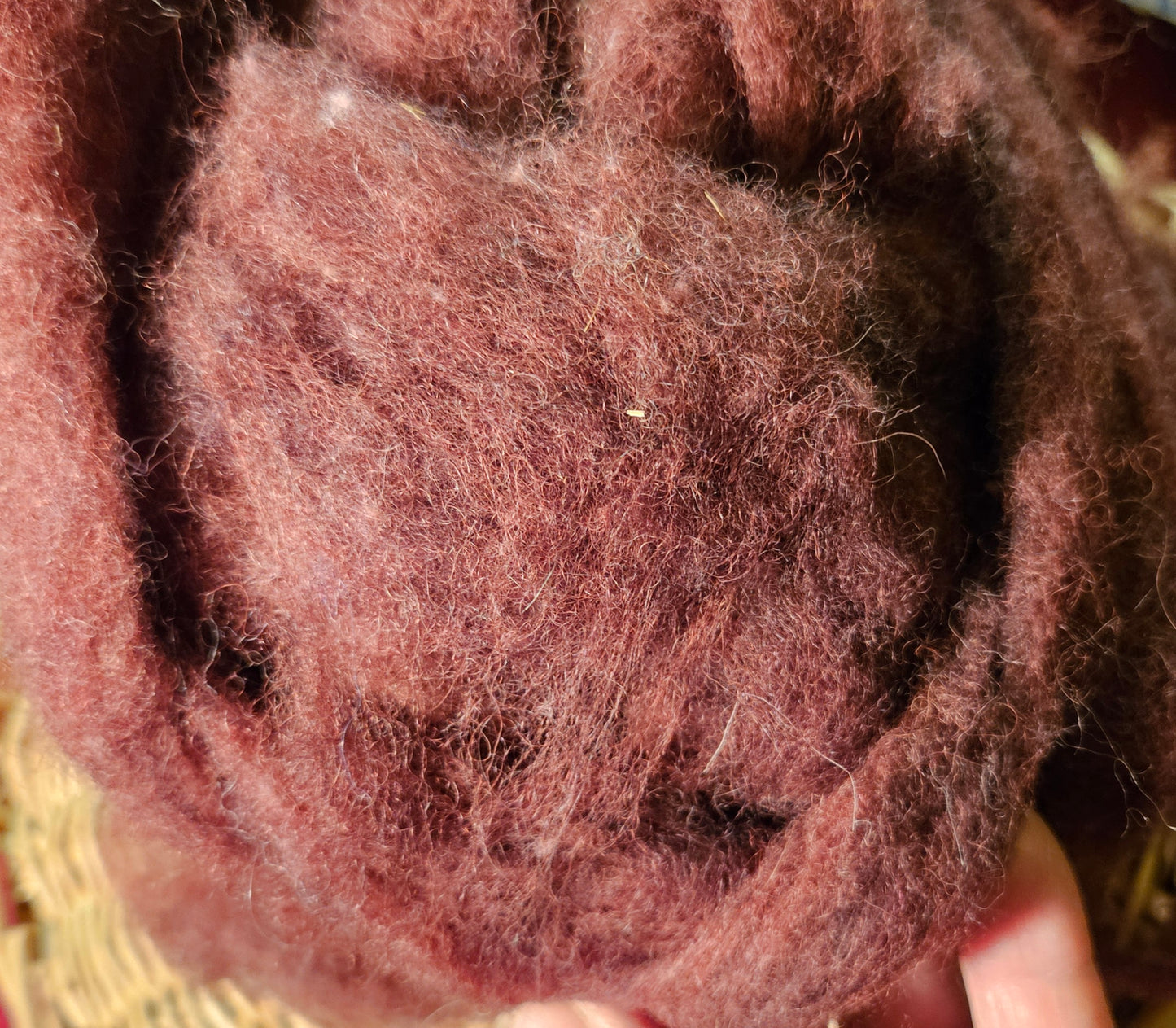 CRoving Blend Mulberry Red 60% Romney/40% Corriedale/10%Angora RRAP10 Romney - 2 ounces