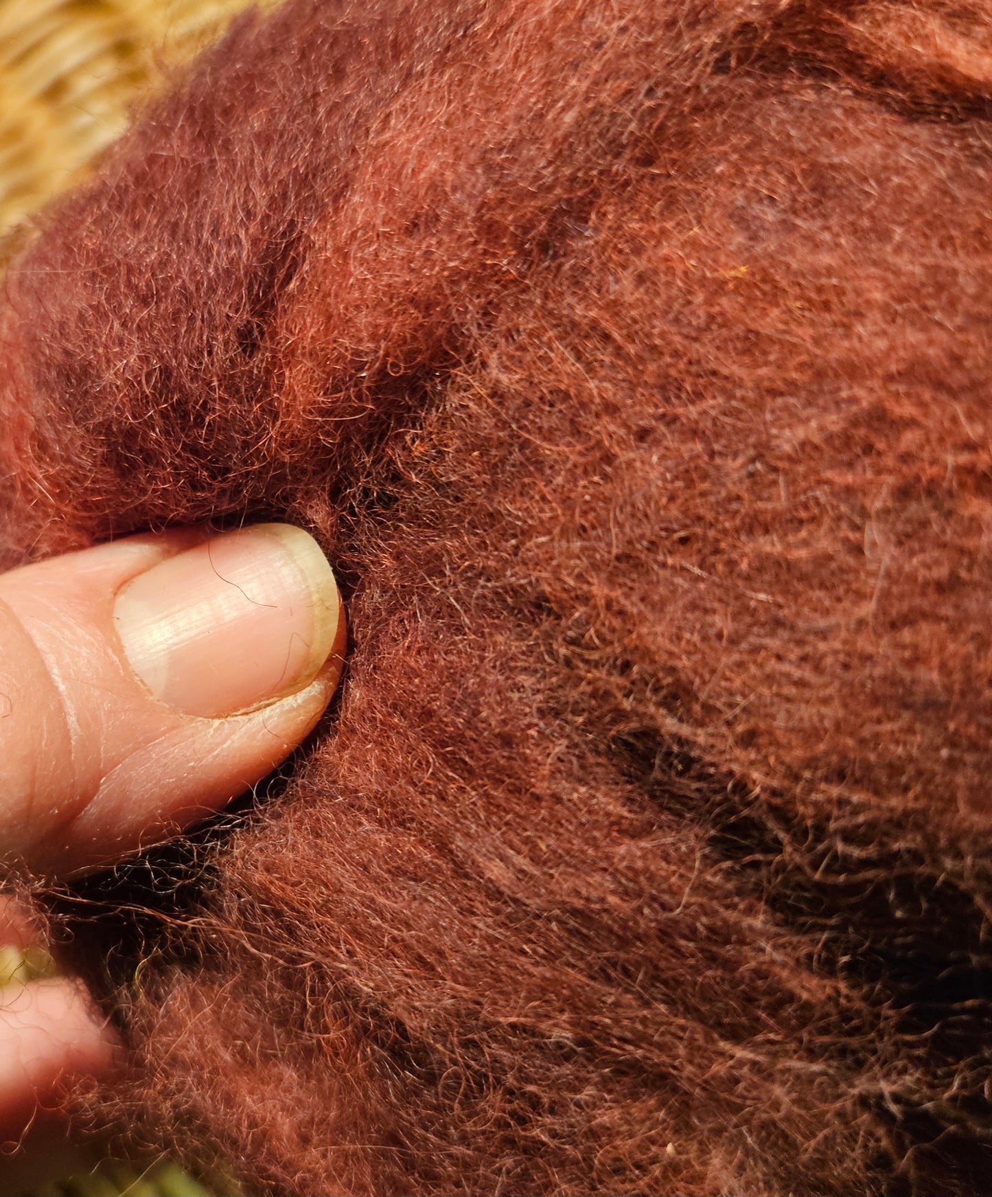 CRoving Blend Raspberry Red 60% Romney/40% Corriedale/10%Angora RRAPP10 Romney - 2 ounces