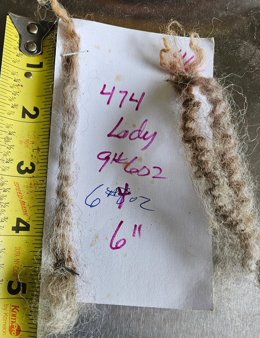 Raw Romney Silver Fleece "Lady-mb"
