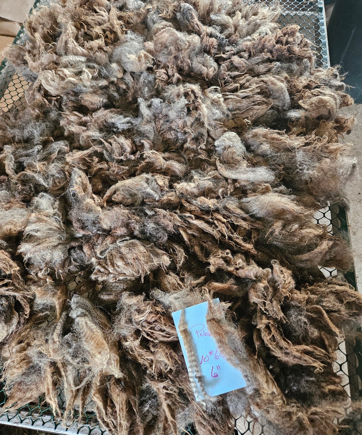 Raw Fleece Silver Romney "Pebbles"