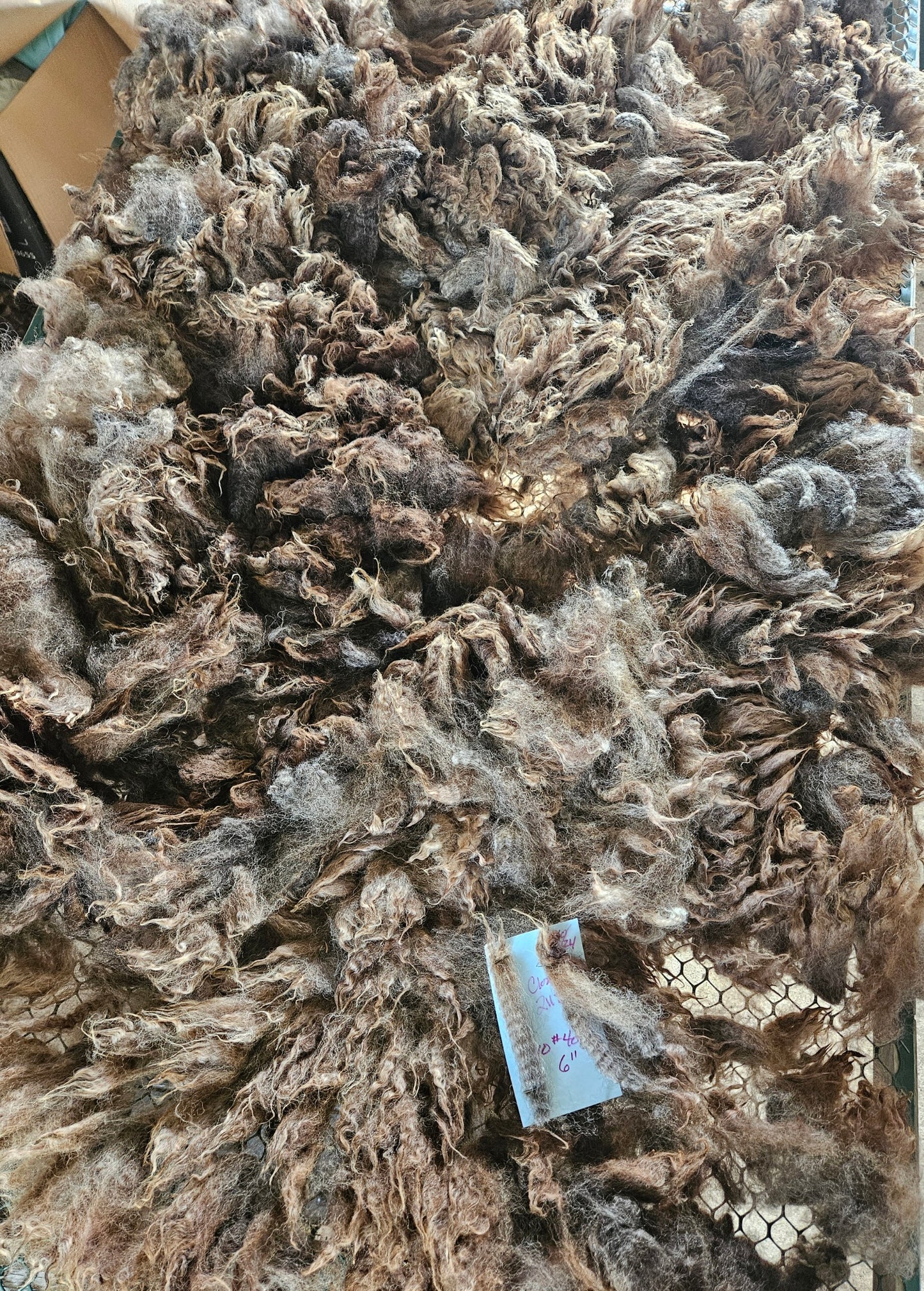 Raw Fleece Silver/Gray Romney 3LThe Clown