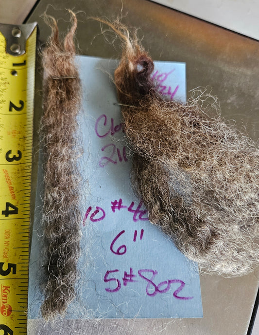 Raw Fleece Silver/Gray Romney 3LThe Clown