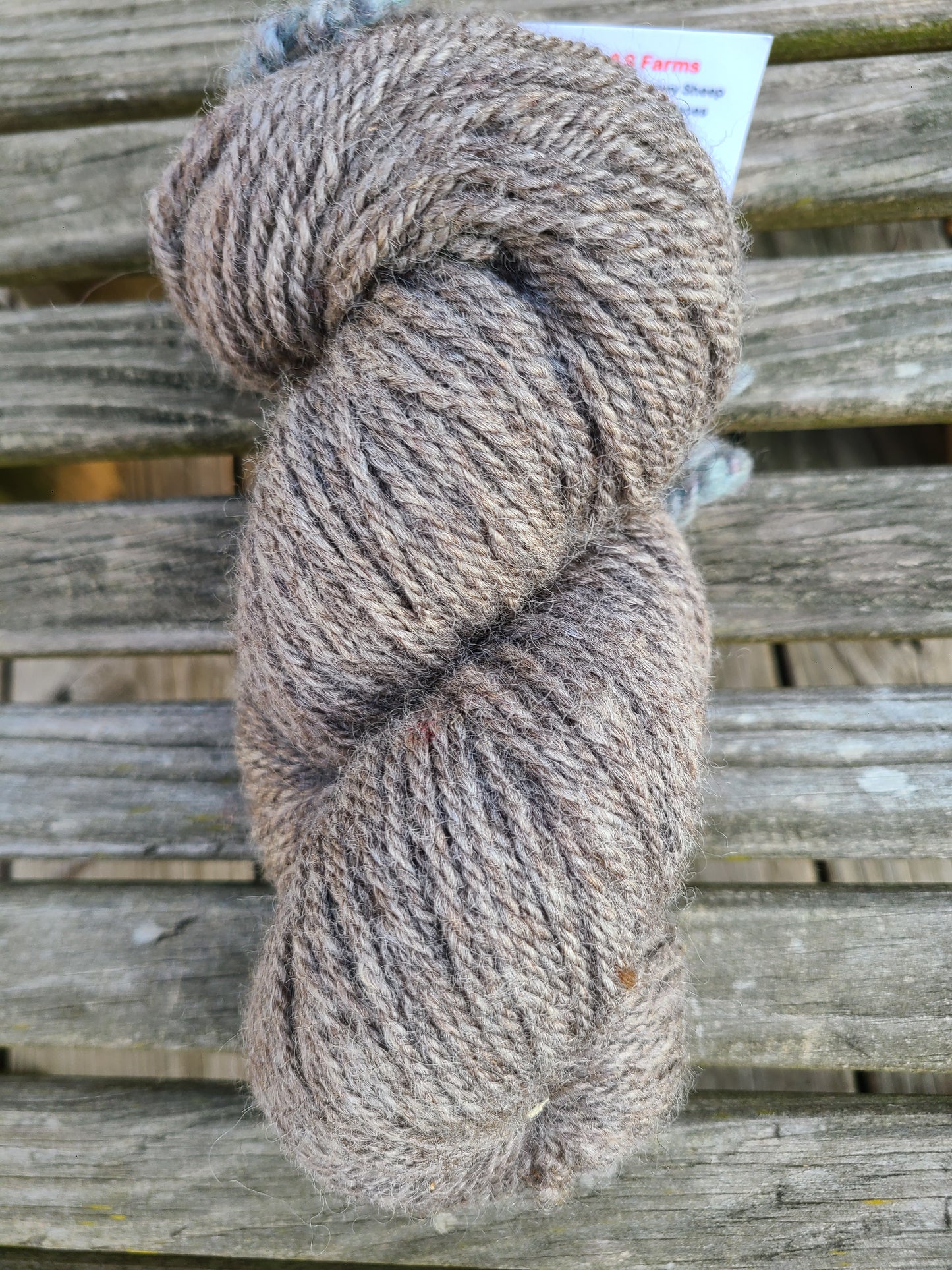 Silver Gray 3LS Romney Yarn used to make Felt Knitted Tabby Kittens at Woven Dimensions