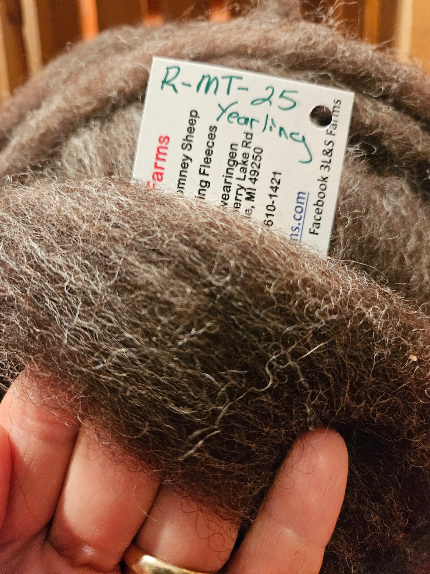 Rich Dark Romney Yearling Roving long staple and lustrous color,