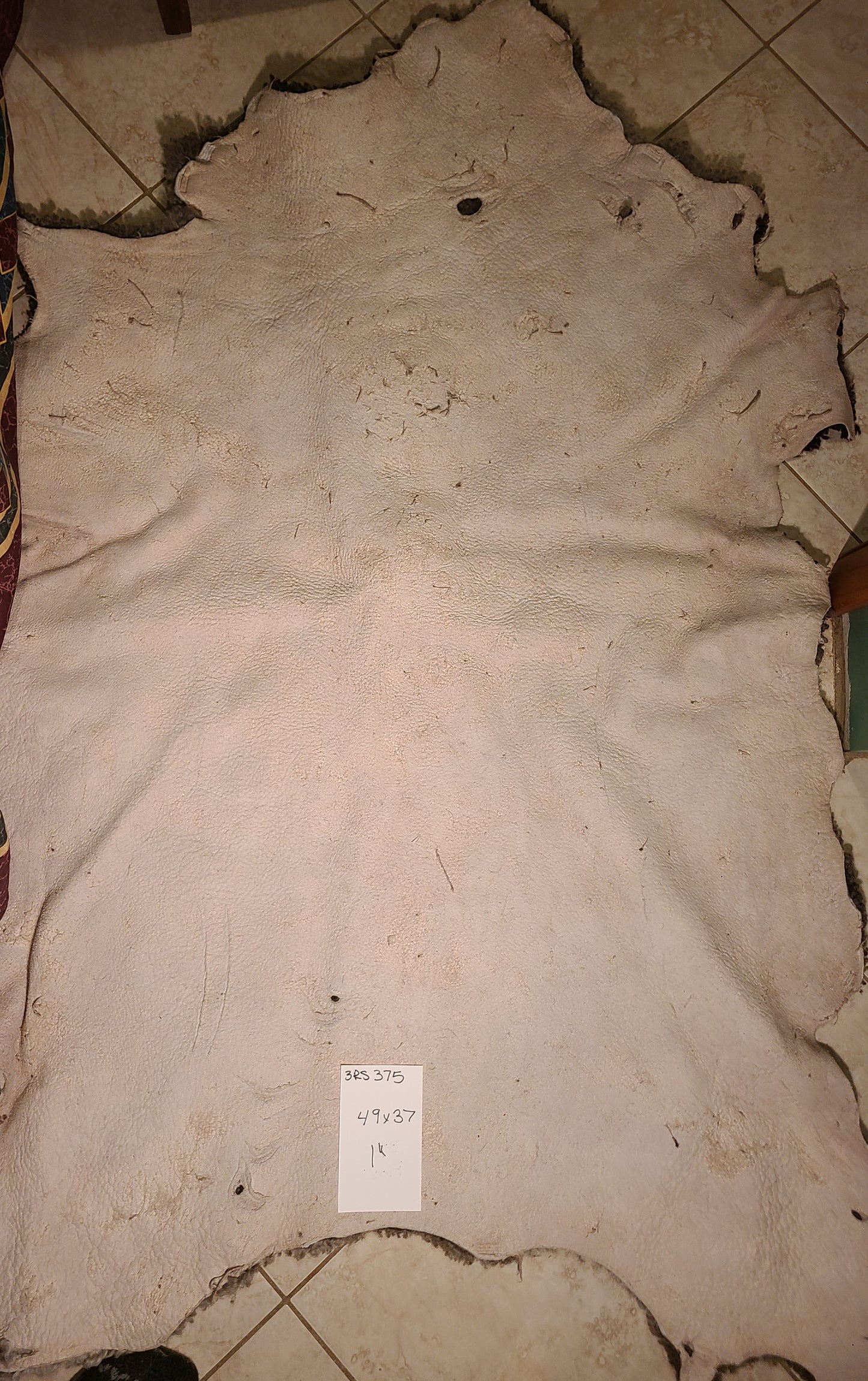 Sheepskin Big Natural Color Silver- Gray Pelt 49 x 37 Inch 3RS375
