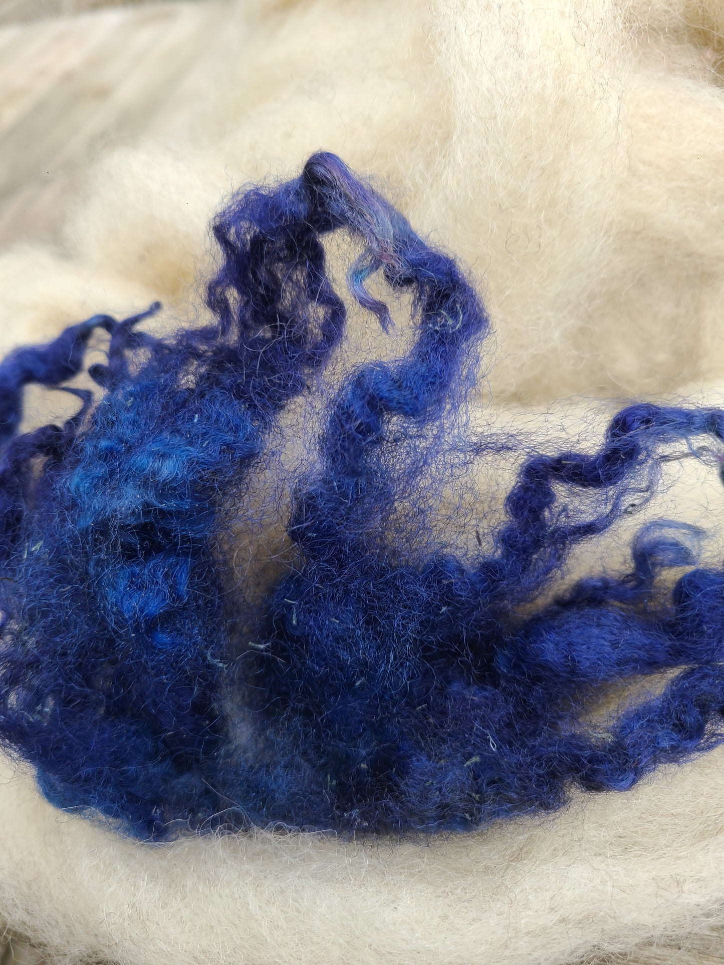 Locks Midnight Blue dyed Romney LMidB10 1.4 ounces