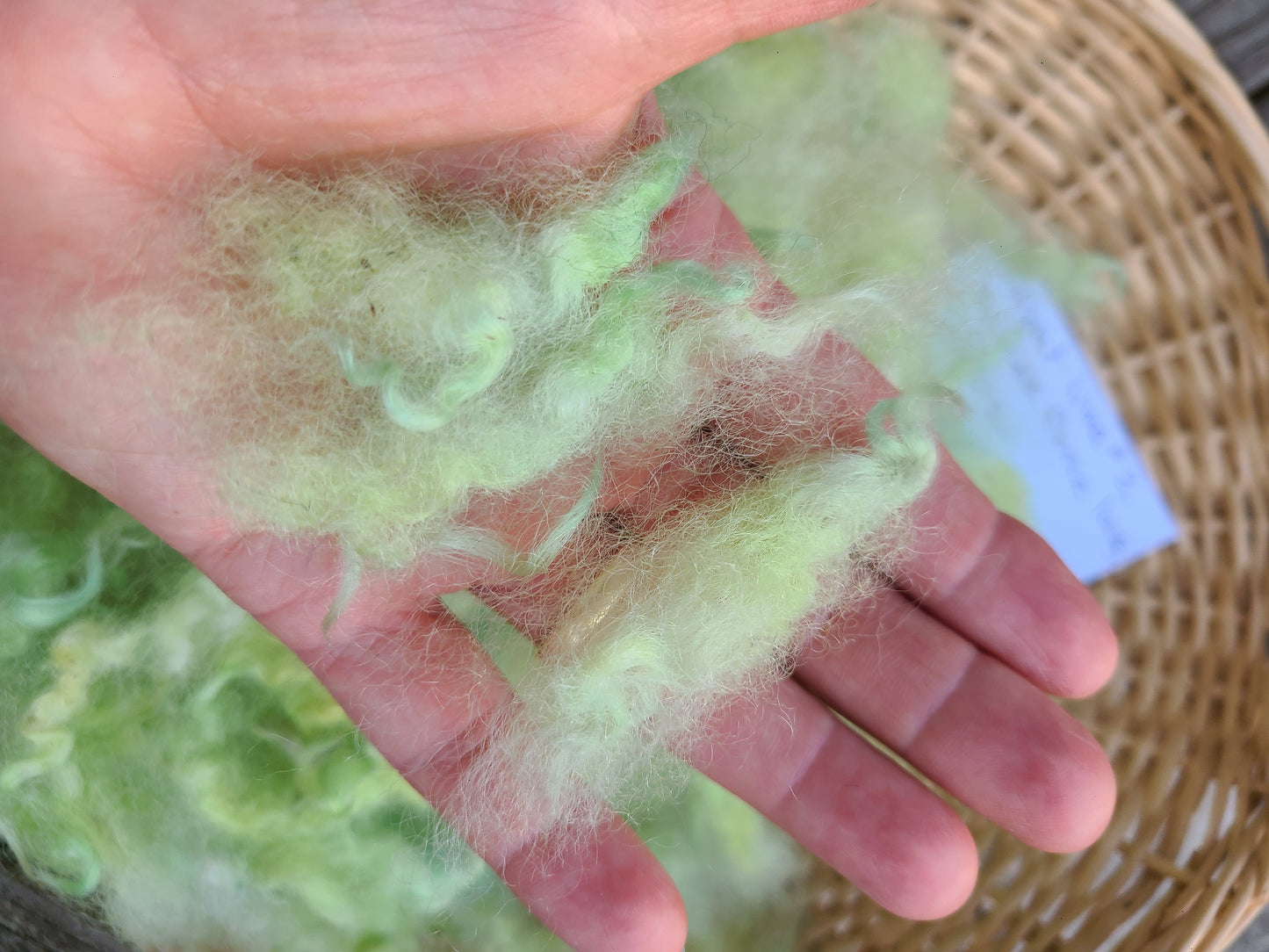 Locks Sherbert Lime dyed Romney Locks - 1.2 ounces