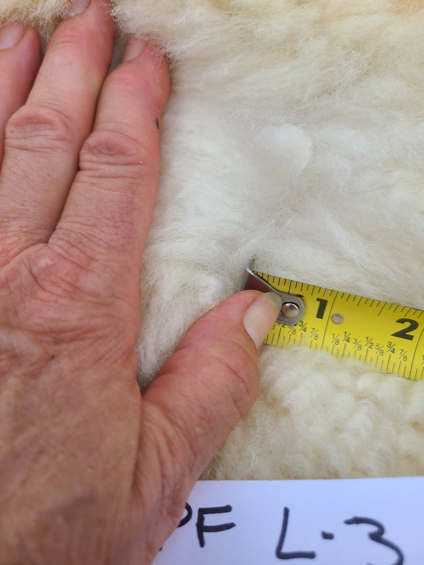 PF L3 Romney Sheepskin Soft