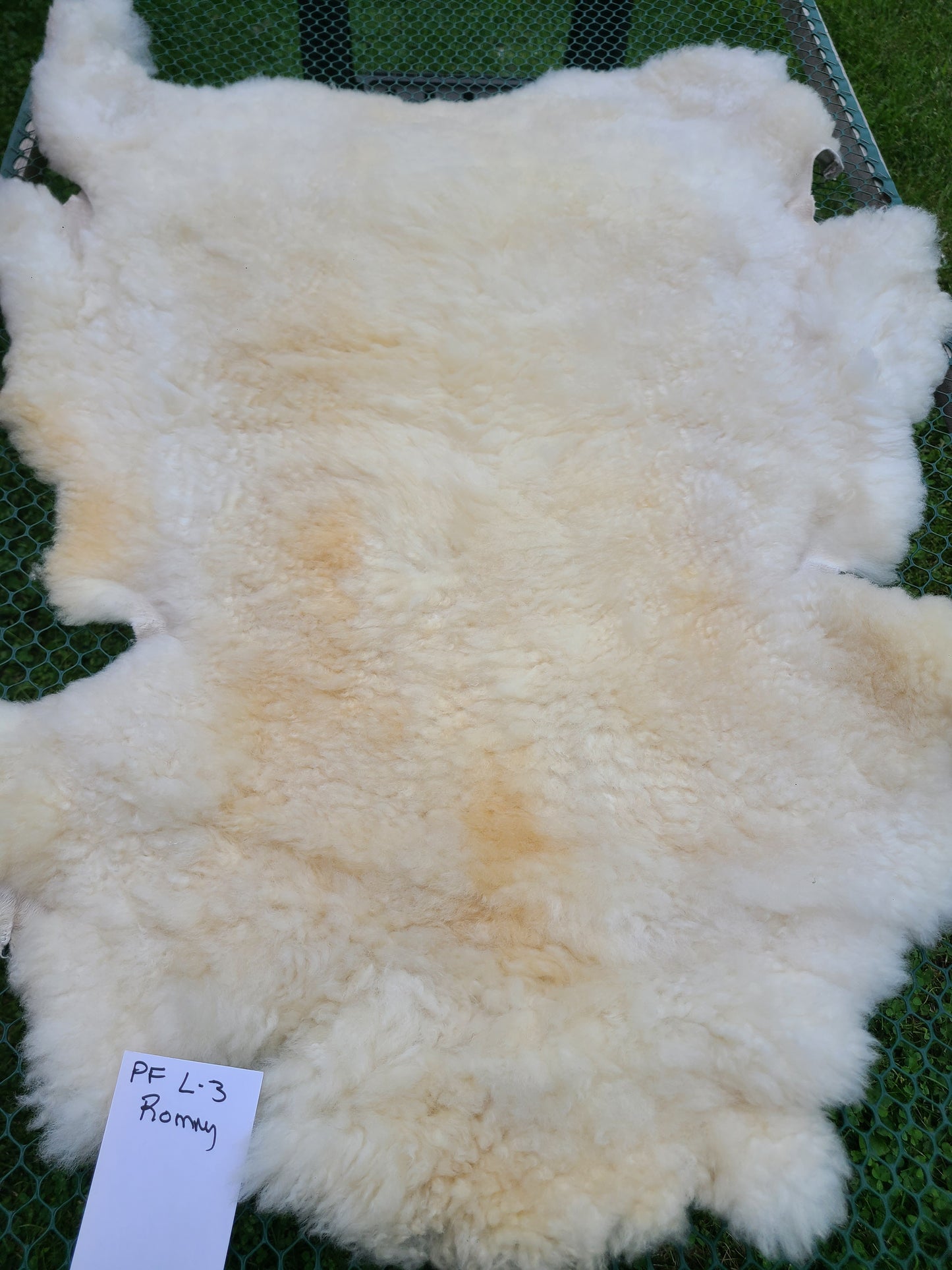 PF L3 Romney Sheepskin Soft