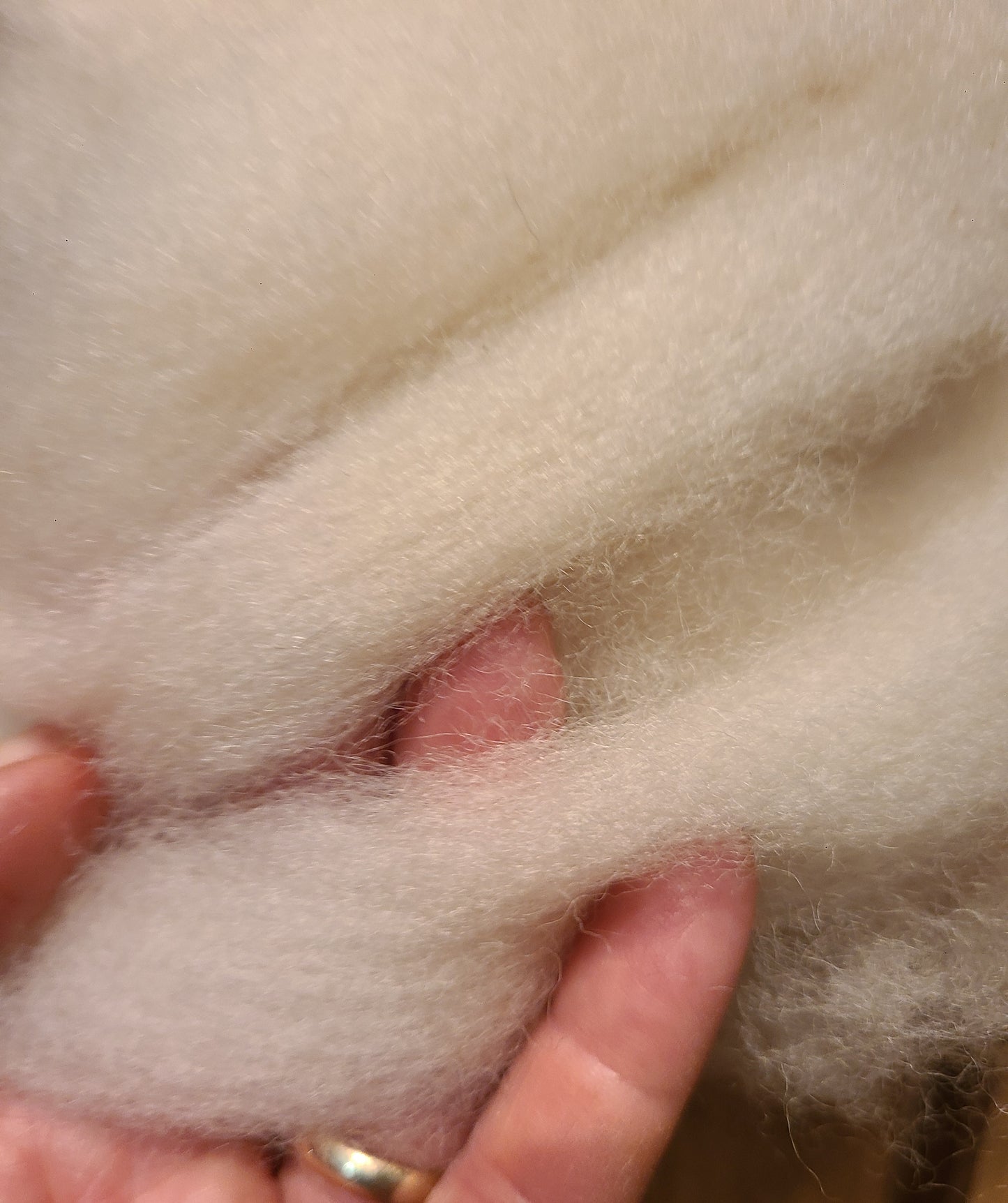 Roving White Romney RWLJ 20- 7.8 ounces