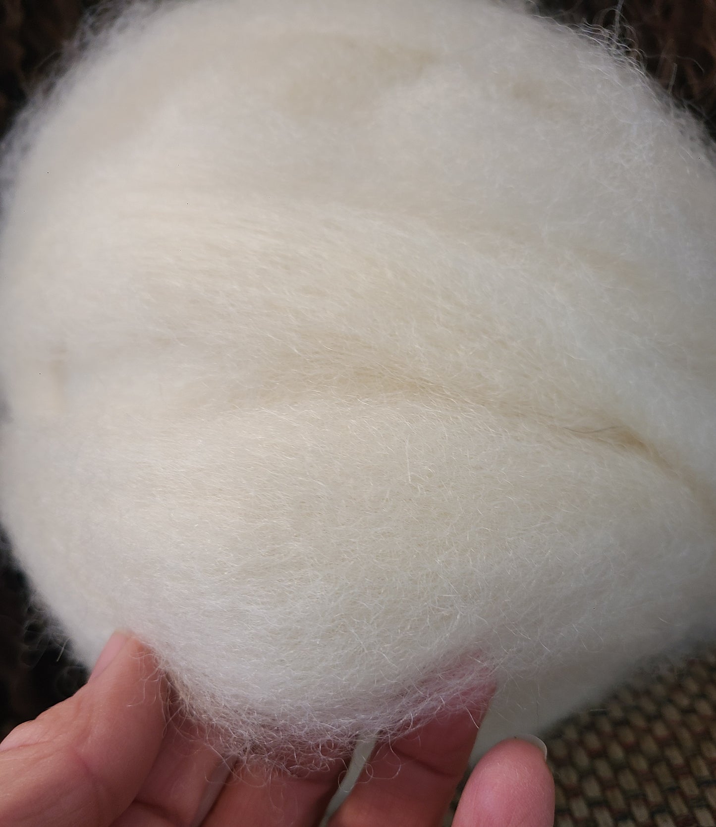 Roving White Romney Roving-RWLJ-19 6 ounces