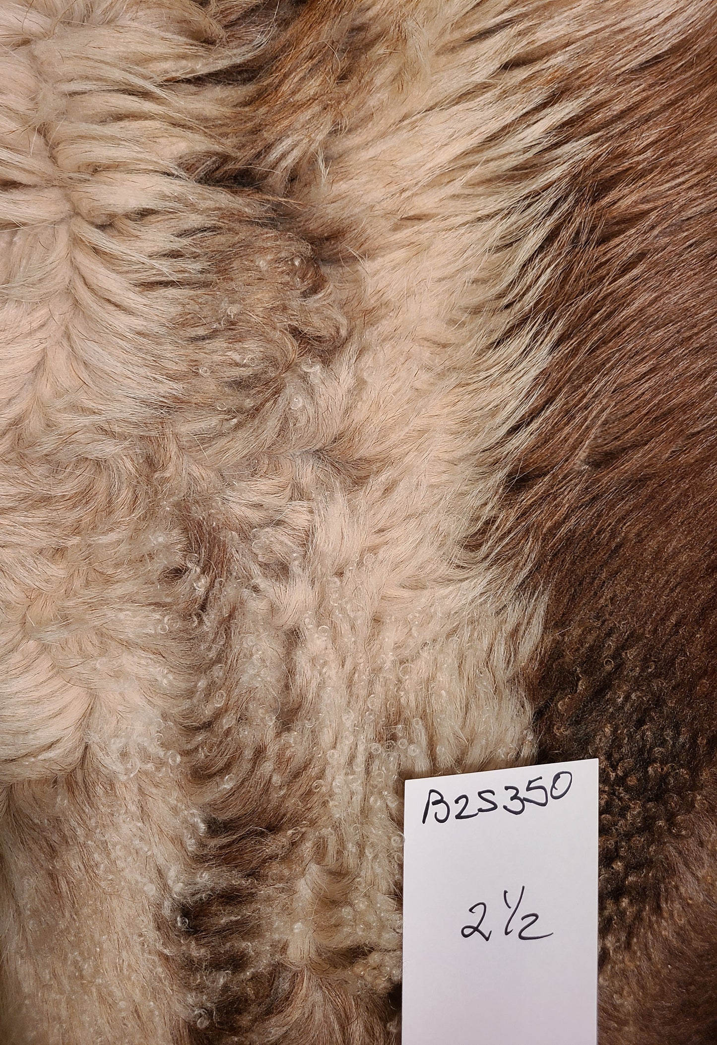 Sheepskin Colorful Brown- Black Hair- Wool pelt - 40 x 28 B2S350