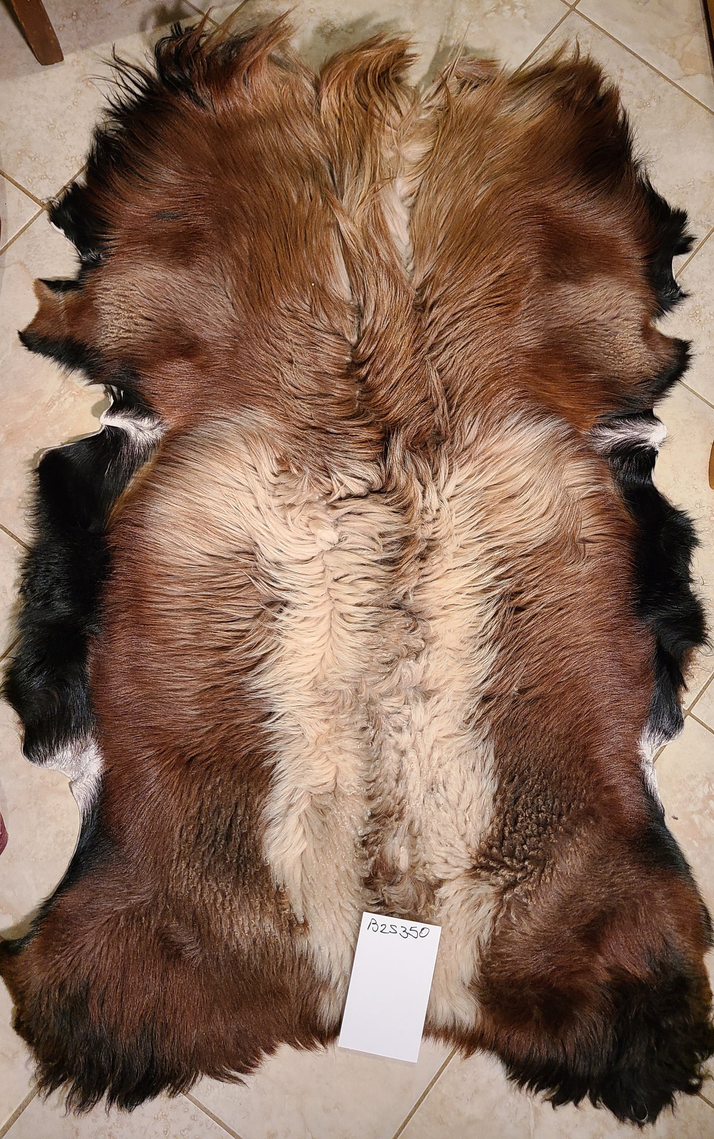 Sheepskin Colorful Brown- Black Hair- Wool pelt - 40 x 28 B2S350