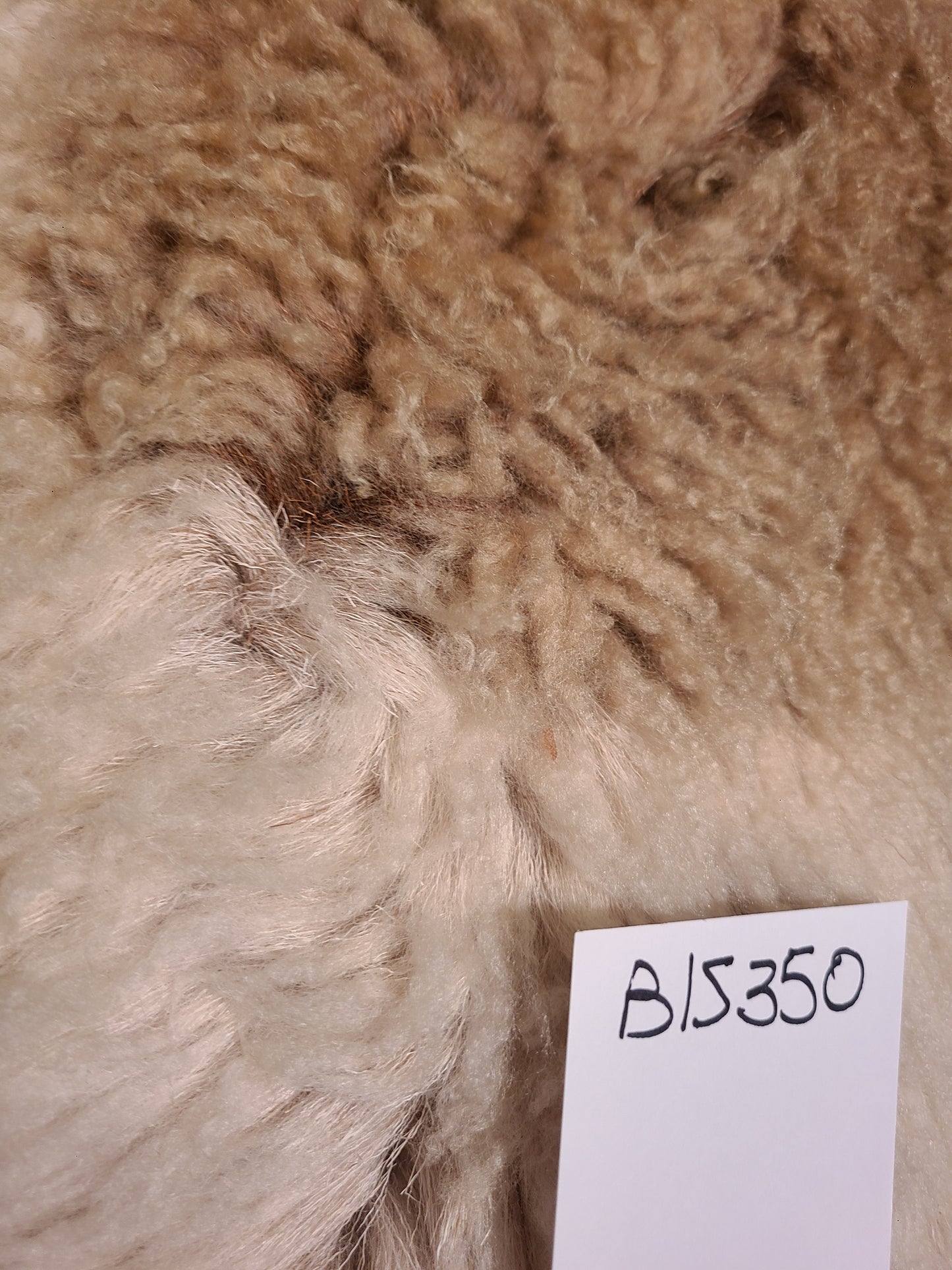 Sheepskin Colorful hair & Wool pelt - 45 x 30 BLS350