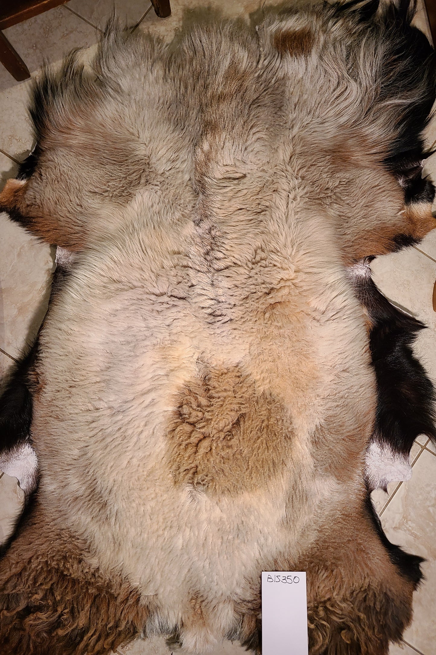 Sheepskin Colorful hair & Wool pelt - 45 x 30 BLS350