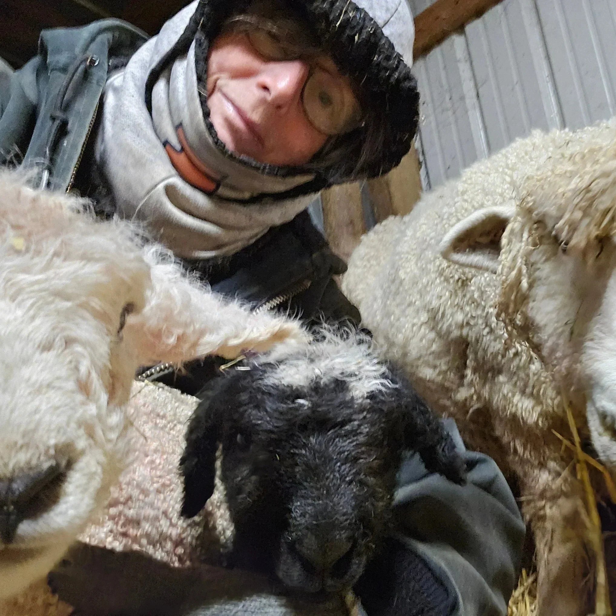 Small Flocks= Family Farms = Small Businesses! – 3L&S Farms