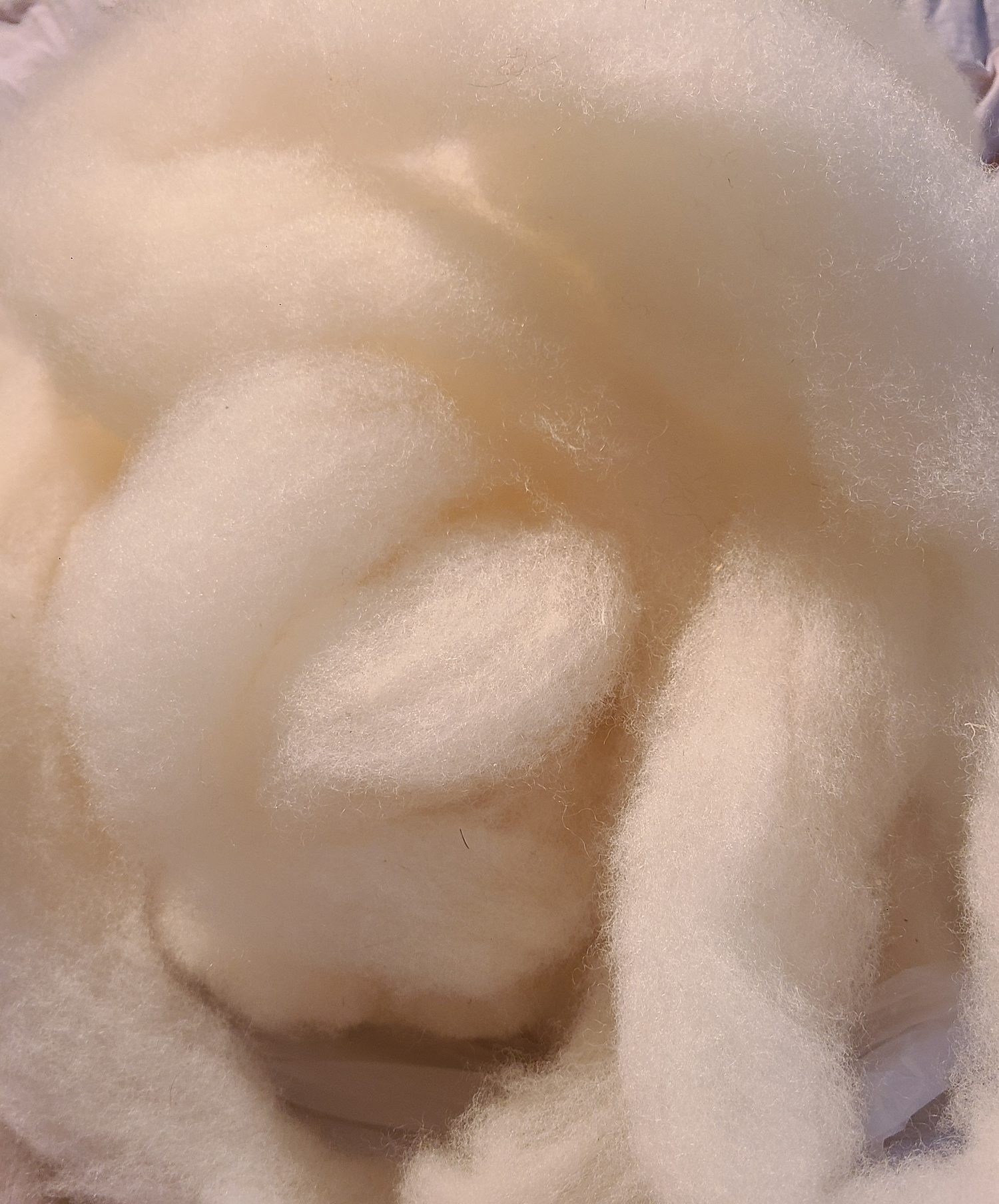 Romney Fiber