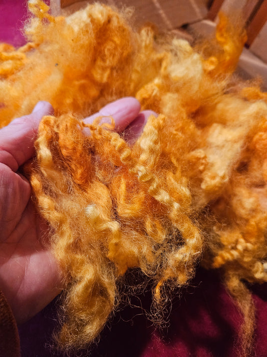 3L&S Romney Locks dyed with dahlia flowers picked from our garrden . Perfect Needle felting spinning rug hooking projects